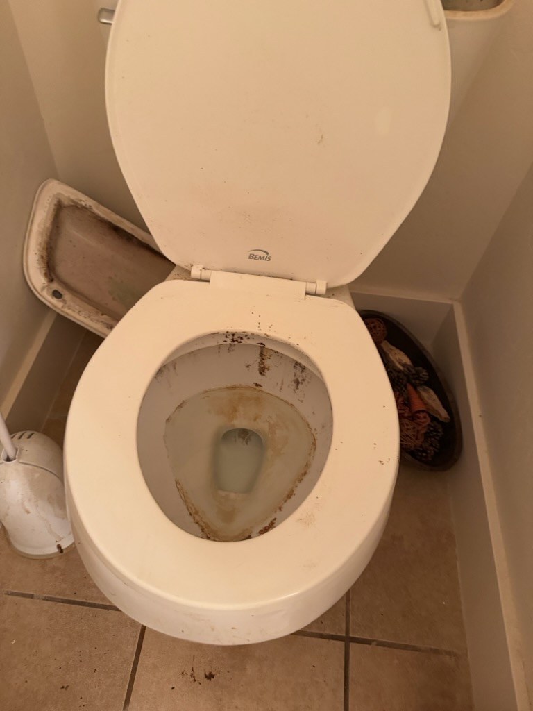 Toilet seat and bowl with heavy grime before cleaning