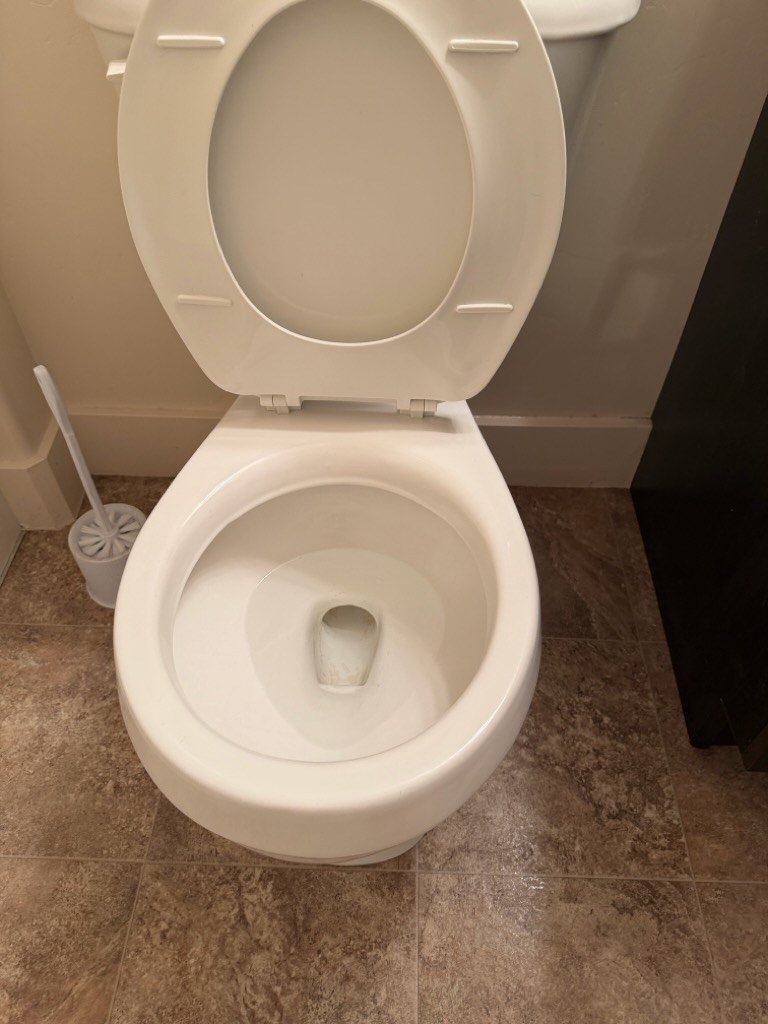 Toilet fully cleaned and restored to white after Salt and Slate service